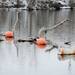 Drift wood stacks up along a line of buoys near Peninsular Park on the Huron River in Ypsilanti on Wednesday, March 6, 2013. Melanie Maxwell I AnnArbor.com